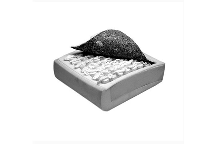 bloque-bonnell-sprinmax